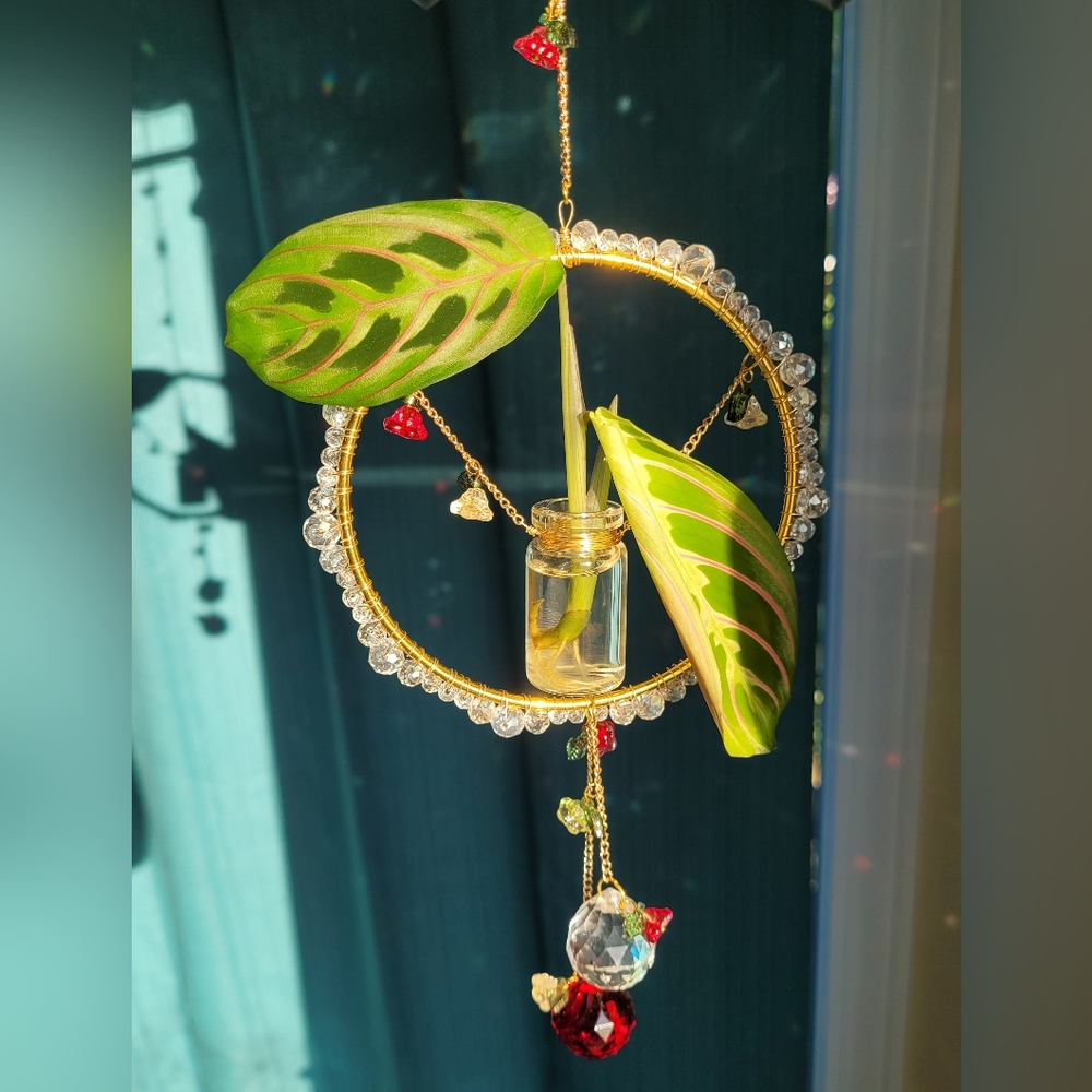 Hanging Propagation Station Suncatcher